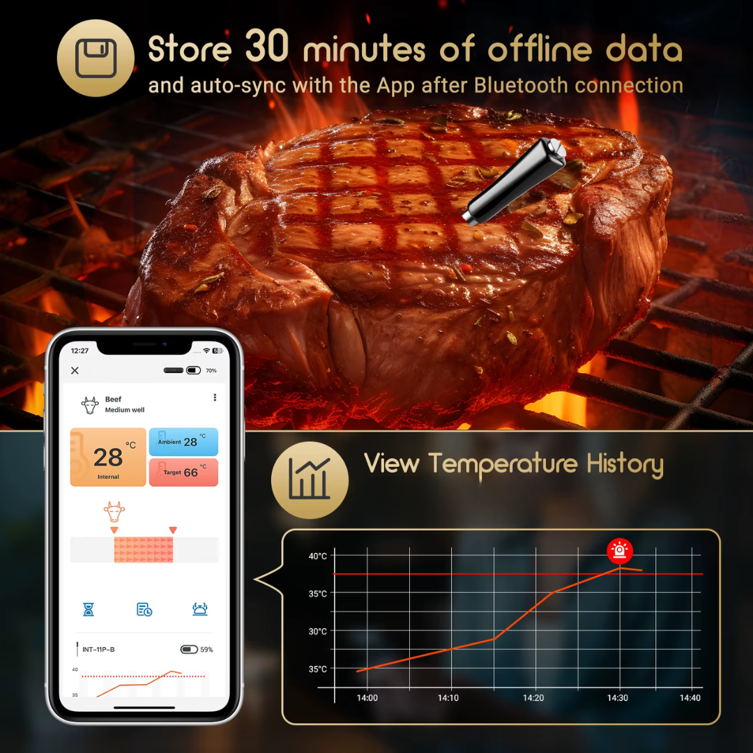 'SOLO PRO' Gold Series Bluetooth® 1 Probe Wireless Thermometer